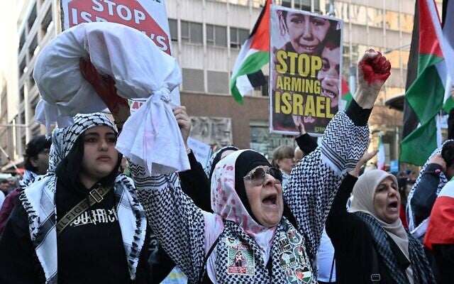 Des manifestants participant à un rassemblement anti-Israël, dans le quartier des affaires de Sydney, le 31 août 2025. (Crédit : Saeed Khan/AFP)
