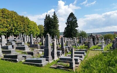 Le cimetière juif de Belfort, en 2014. (Crédit : 9MicKMacKz/CC BY-SA 3.0)