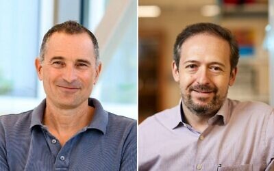Le professeur Ido Amit, à gauche, de l'Institut Weizmann des sciences, et le professeur Jonathan Kipnis, de la faculté de médecine de l'université de Washington, à Saint-Louis, dans le Missouri. (Autorisation : Matt Miller)