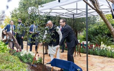 Le président Isaac Herzog (à droite) et le Premier ministre indien Narendra Modi plantent un arbre à la résidence présidentielle à Jérusalem, le 26 février 2026. (Crédit : Oren Ben-Haakon/GPO)