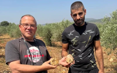 Le professeur Ran Barkai de l'Université de Tel Aviv (à gauche) et Muataz Shalata, un habitant de Sakhnin, tiennent des haches en pierre vieilles de 500 000 ans, fabriquées avec des matériaux spéciaux présentant des caractéristiques géologiques uniques. La découverte a été annoncée en mars 2026. (Université de Tel Aviv)