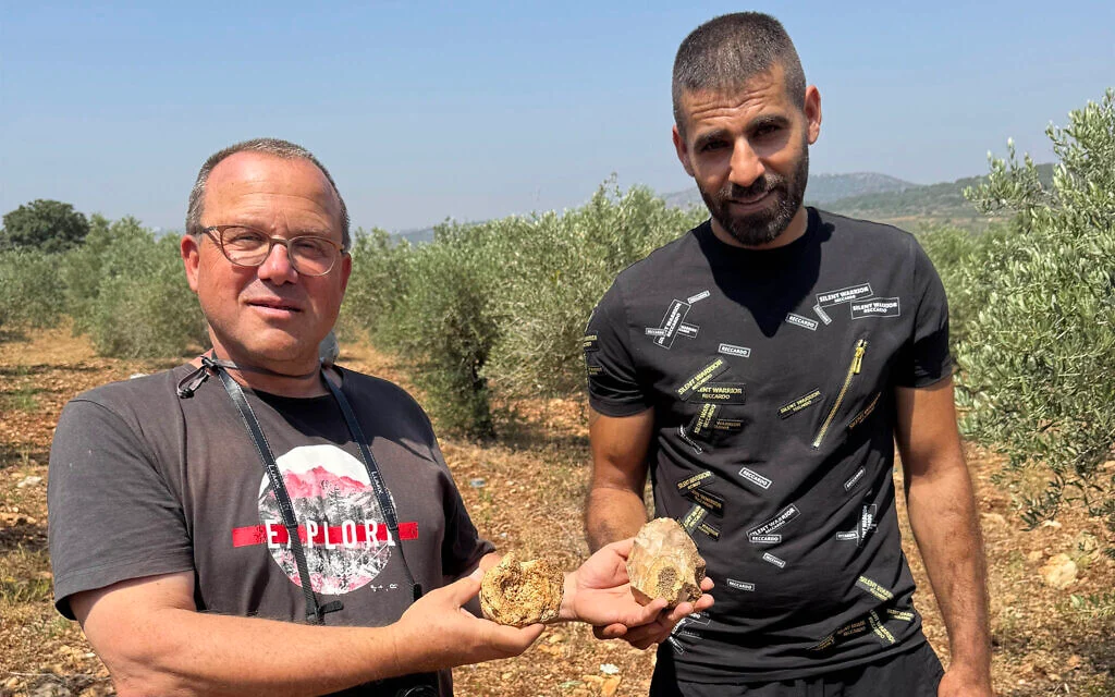 Le professeur Ran Barkai de l'Université de Tel Aviv (à gauche) et Muataz Shalata, un habitant de Sakhnin, tiennent des haches en pierre vieilles de 500 000 ans, fabriquées avec des matériaux spéciaux présentant des caractéristiques géologiques uniques. La découverte a été annoncée en mars 2026. (Université de Tel Aviv) Le professeur Ran Barkai de l'Université de Tel Aviv (à gauche) et Muataz Shalata, un habitant de Sakhnin, tiennent des haches en pierre vieilles de 500 000 ans, fabriquées avec des matériaux spéciaux présentant des caractéristiques géologiques uniques. La découverte a été annoncée en mars 2026. (Université de Tel Aviv)