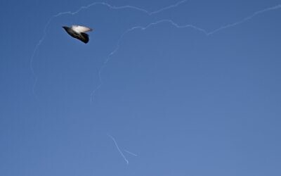 Un pigeon volant alors que les traînées laissées par l'interception d'un projectile iranien sont visibles dans le ciel au-dessus de Dubaï, le 2 mars 2026. (Crédit : Giuseppe Cacace/AFP)