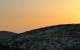 Des militants d'extrême-droite israéliens gravissent une colline aux premières heures du matin pour reconstruire l'avant-poste illégal de Kol Mevaser, au centre de la Cisjordanie, le 18 mars 2026. (Autorisation: Torat Tzedek)