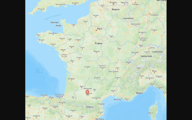 Plaisance-du-Touch (Haute-Garonne). (Crédit : Google Maps)