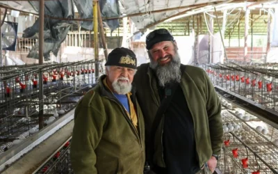 Le maire de Netu'a, Yoav Cohen (à gauche), avec un ouvrier de l'élevage de poules du moshav. (Theia Chatelle/ JTA)