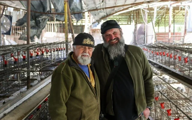 Le maire de Netu'a, Yoav Cohen (à gauche), avec un ouvrier de l'élevage de poules du moshav. (Theia Chatelle/ JTA)