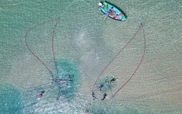 Des archéologues maritimes travaillant au lagon Dor/Tantura, au large des côtes du Carmel, dans le nord d'Israël, sur une photo non datée. (Fouille sous-marine Marko Runjajić/Tantura)