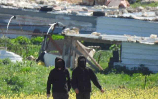 Des résidents d'implantations extrémistes menacent des militants palestiniens bédouins ainsi que des militants israéliens des droits de l'homme dans des hameaux bédouins des environs de Mukhmas, en Cisjordanie, le 8 mars 2026. (Avec l'aimable autorisation de Torat Tzedek)