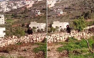Captures d’écran d'une vidéo diffusée par les médias israéliens le 11 avril 2026 montre une personne en train de lancer des pierres ; elle semblerait illustrer les événements qui ont précédé un affrontement survenu ce jour-là, au cours duquel un réserviste a abattu un Palestinien. (Crédit : Captures d’écran/Ynet)