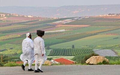 Illustration : Des Juifs hassidiques se préparant pour Shabbat, dans le moshav Yavnéel, dans le nord du pays, le 24 mars 2017. (Crédit : Yaakov Lederman/FLASH90)