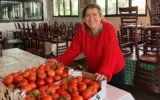 Ora Hatan, l’une des porteuses d’allumage d’honneur lors de la cérémonie annuelle de Yom HaAtsmaout organisée par l’État sur le mont Herzl à Jérusalem le 21 avril 2026, se tient dans son nouveau restaurant installé dans sa maison à Shtula, le 13 avril 2026. (Crédit : Diana Bletter/Times of Israel)