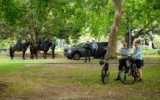Des policiers au Prince Alfred Park à Sydney, le 21 décembre 2025. Illustration (Crédit : GEORGE CHAN/AFP)