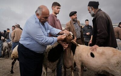 Des Palestiniens achetant des moutons et des chèvres en prévision de la fête musulmane de l'Aïd al-Adha, sur un marché aux bestiaux, à Naplouse, en Cisjordanie, le 21 mai 2026. (Crédit : Majdi Mohammed/AP)