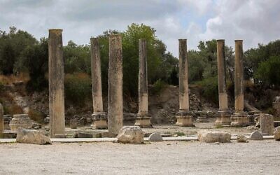 Vue du site archéologique antique de Sébaste, non loin de Naplouse, en Cisjordanie, le 12 mai 2025. (Crédit : Nasser Ishtayeh/Flash90)