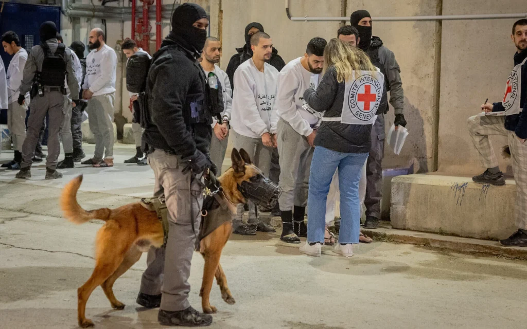 Des membres de la Croix-Rouge observant les agents de l’Administration pénitentiaire israélienne (IPS) préparer la libération de prisonniers palestiniens de la prison de Ketziot, dans le cadre d’un accord d'échange d’otages détenus à Gaza, le 26 février 2025. (Crédit : Chaïm Goldberg/Flash90) Des membres de la Croix-Rouge observant les agents de l’Administration pénitentiaire israélienne (IPS) préparer la libération de prisonniers palestiniens de la prison de Ketziot, dans le cadre d’un accord d'échange d’otages détenus à Gaza, le 26 février 2025. (Crédit : Chaïm Goldberg/Flash90)