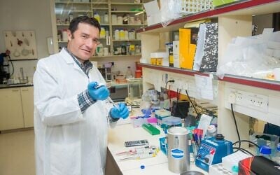 Le professeur Haim Cohen, directeur du Centre Sagol pour la longévité humaine en bonne santé, rattaché à la Faculté des sciences de la vie Mina et Everard Goodman de l'Université Bar-Ilan. (Autorisation : Université Bar-Ilan)