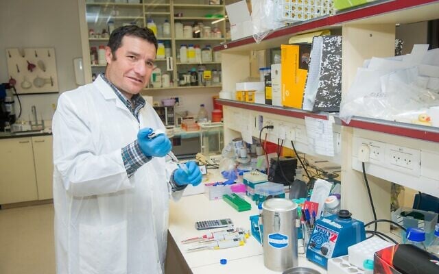 Le professeur Haim Cohen, directeur du Centre Sagol pour la longévité humaine en bonne santé, rattaché à la Faculté des sciences de la vie Mina et Everard Goodman de l'Université Bar-Ilan. (Autorisation : Université Bar-Ilan)