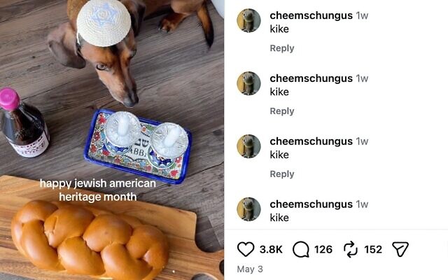 Le compte Instagram « Sprinkles the Weenie » a suscité des dizaines de commentaires antisémites suite à une publication commémorant le Mois du patrimoine juif américain. (Crédit : Capture d'écran via JTA)