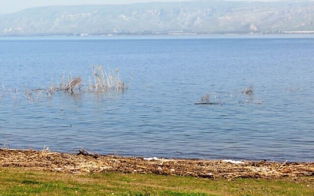 Vue sur le lac de Tibériade. (Crédit : Dov Greenblat/Société pour la protection de la nature en Israël) Vue sur le lac de Tibériade. (Crédit : Dov Greenblat/Société pour la protection de la nature en Israël)