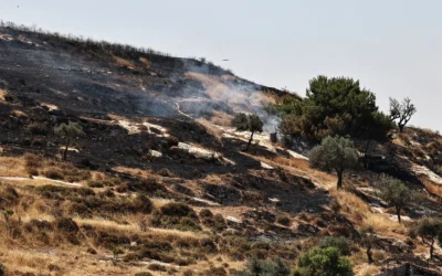 De la fumée s'élevant après que des résidents d'implantations auraient mis le feu à des champs agricoles situés aux alentours du village de Taybeh, en Cisjordanie, le 10 juin 2026. (Crédit : Zain Jaafar/AFP) De la fumée s'élevant après que des résidents d'implantations auraient mis le feu à des champs agricoles situés aux alentours du village de Taybeh, en Cisjordanie, le 10 juin 2026. (Crédit : Zain Jaafar/AFP)