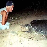 Mona Khalil observant une tortue sur le littoral de Tyr, ville portuaire du sud du Liban, le 12 août 2002. (Crédit : Jihad Seqlawi/AFP)