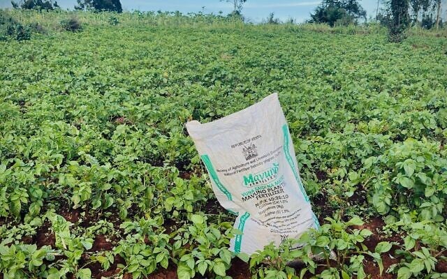 Un sac d'engrais prêt à être utilisé à Limuru, au Kenya, le 25 mars 2026. (Crédit : AP Photo/Jackson Njehia)