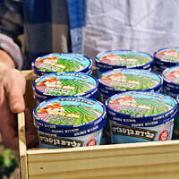 « Milk and Honey », le nouveau parfum de glace de Ben & Jerry’s Israël. (Crédit : Ben & Jerry’s Israël/Réseaux sociaux)