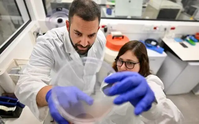 Le professeur adjoint Assaf Zinger (à gauche) du Technion (Institut de technologie d'Israël) avec la doctorante Ofri Vizenblit dans le laboratoire Zinger. (Autorisation/Rami Shelush, Service du porte-parole du Technion) Le professeur adjoint Assaf Zinger (à gauche) du Technion (Institut de technologie d'Israël) avec la doctorante Ofri Vizenblit dans le laboratoire Zinger. (Autorisation/Rami Shelush, Service du porte-parole du Technion)