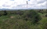 Les mâts principaux et secondaires de l'Institut Weizmann dans une zone de forêt d'acacias, au Kenya. (Crédit : Autorisation)