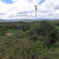Les mâts principaux et secondaires de l'Institut Weizmann dans une zone de forêt d'acacias, au Kenya. (Crédit : Autorisation)
