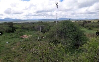 Les mâts principaux et secondaires de l'Institut Weizmann dans une zone de forêt d'acacias, au Kenya. (Crédit : Autorisation)