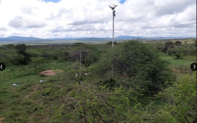 Les mâts principaux et secondaires de l'Institut Weizmann dans une zone de forêt d'acacias, au Kenya. (Crédit : Autorisation)