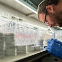 Le professeur Itamar Harel dans son laboratoire au sein du département de génétique de l'Institut Silberman de l'Université hébraïque de Jérusalem. (Autorisation : Université hébraïque de Jérusalem)