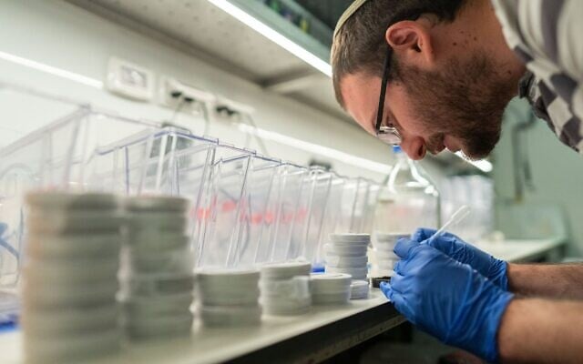 Le professeur Itamar Harel dans son laboratoire au sein du département de génétique de l'Institut Silberman de l'Université hébraïque de Jérusalem. (Autorisation : Université hébraïque de Jérusalem)