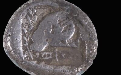 La pièce de monnaie chypriote datant de 2 500 ans, découverte à Ashdod (Crédit : Shai Halevi/Autorité israélienne des antiquités)