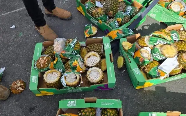 Des ananas, évidés et remplis de cigarettes, interceptés en route vers la bande de Gaza, le 8 juillet 2026. (Autorité des passages terrestres, ministère israélien de la Défense) Des ananas, évidés et remplis de cigarettes, interceptés en route vers la bande de Gaza, le 8 juillet 2026. (Autorité des passages terrestres, ministère israélien de la Défense)