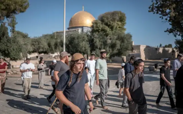 Des Juifs dans l'enceinte du mont du Temple à Jérusalem lors de la fête de Tisha BeAv, le 23 juillet 2026. (Crédit : Ilia Yefimovich/AFP)