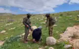 Des résidents de la communauté d’élevage palestinienne d’al-Hadidiyah détenus par Tsahal, le 2 mars 2026 (Association des droits civiques en Israël)