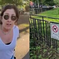 Captures d'écran de la vidéo enregistrée par la victime, montrant la femme proférant à l'homme des insultes antisémites, ainsi que la pancarte informant les passants de l'interdiction aux chiens dans l'aire de jeux.