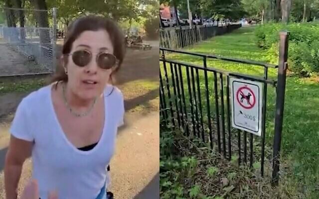 Captures d'écran de la vidéo enregistrée par la victime, montrant la femme proférant à l'homme des insultes antisémites, ainsi que la pancarte informant les passants de l'interdiction aux chiens dans l'aire de jeux.