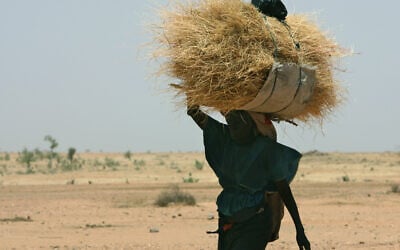 Une Soudanaise transporte du bois de chauffage ramassé en rentrant chez elle à la périphérie de Murnei, dans l'ouest du Darfour, au Soudan, le 23 avril 2007. Des décennies de sécheresse ont contribué à déclencher les violences au Darfour, des groupes rivaux s'affrontant pour l'accès à l'eau et aux terres arables, des ressources rares. (Crédit : Nasser Nasser/AP) Une Soudanaise transporte du bois de chauffage ramassé en rentrant chez elle à la périphérie de Murnei, dans l'ouest du Darfour, au Soudan, le 23 avril 2007. Des décennies de sécheresse ont contribué à déclencher les violences au Darfour, des groupes rivaux s'affrontant pour l'accès à l'eau et aux terres arables, des ressources rares. (Crédit : Nasser Nasser/AP)