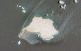 Cette image satellite diffusée par l'Agence spatiale européenne montre une fuite de pétrole provenant d'un pétrolier sanctionné par le Royaume-Uni qui s'est échoué près de l'île de Qibliyah, au large des côtes d'Oman, mardi 28 juillet 2026. (Crédit : Agence spatiale européenne via AP)