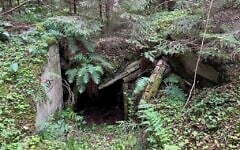Un bunker de partisans dans la forêt de Rūdninkai. (Shira Li Bartov/JTA)