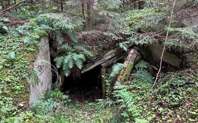 Un bunker de partisans dans la forêt de Rūdninkai. (Crédit : Shira Li Bartov/JTA)