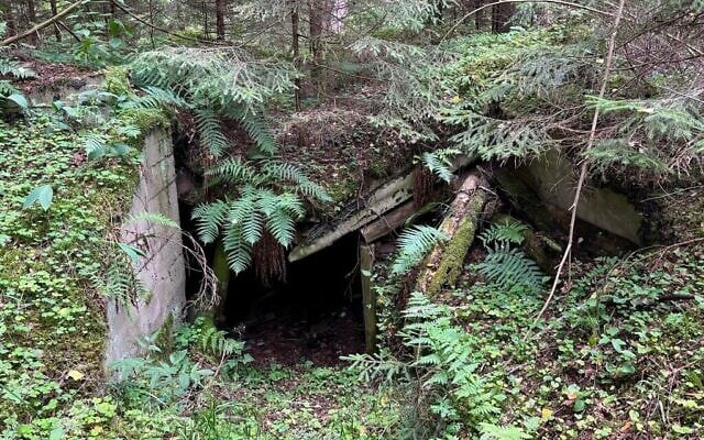 Un bunker de partisans dans la forêt de Rūdninkai. (Shira Li Bartov/JTA)