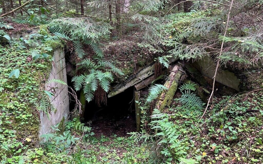Un bunker de partisans dans la forêt de Rūdninkai. (Crédit : Shira Li Bartov/JTA) Un bunker de partisans dans la forêt de Rūdninkai. (Crédit : Shira Li Bartov/JTA)