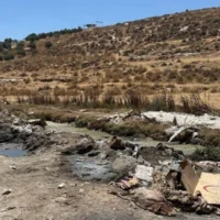 Des débris et des carcasses de moutons jonchant les berges du ruisseau de Hébron en aval d’ad-Dhahiriya, dans le sud de la Cisjordanie, le 14 juillet 2026. (Crédit : Sue Surkes/Times of Israel)