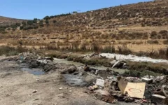 Des débris et des carcasses de moutons jonchant les berges du ruisseau de Hébron en aval d’ad-Dhahiriya, dans le sud de la Cisjordanie, le 14 juillet 2026. (Crédit : Sue Surkes/Times of Israel)