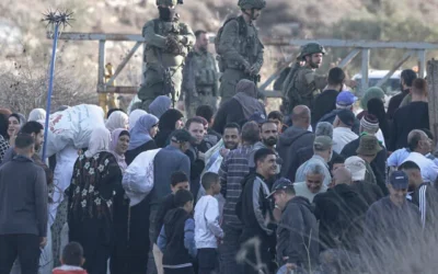Des soldats israéliens interceptant des agriculteurs palestiniens du village de Salem à un poste de contrôle, avant qu'ils ne franchissent un portail fermé pour accéder à leurs terres afin d'y cueillir des olives, à l'est de Naplouse, en Cisjordanie, le 22 novembre 2025. (Crédit : Jaafar Ashtiyeh/AFP)